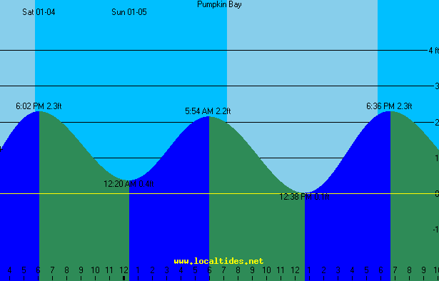 Pumpkin Bay Tide Chart